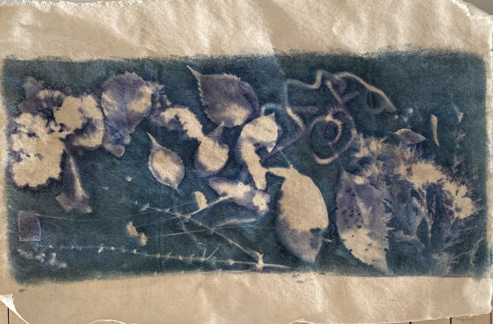 Mini Sun Print Workshop