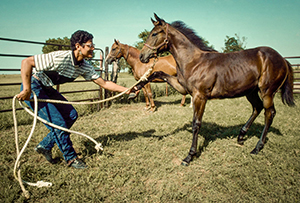 "Black Cowboys in America" with Ron Tarver and Jordan Bullock