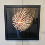 New Rochelle Art Association 2026 Jules Bauer Award Show