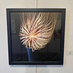New Rochelle Art Association 2026 Jules Bauer Award Show